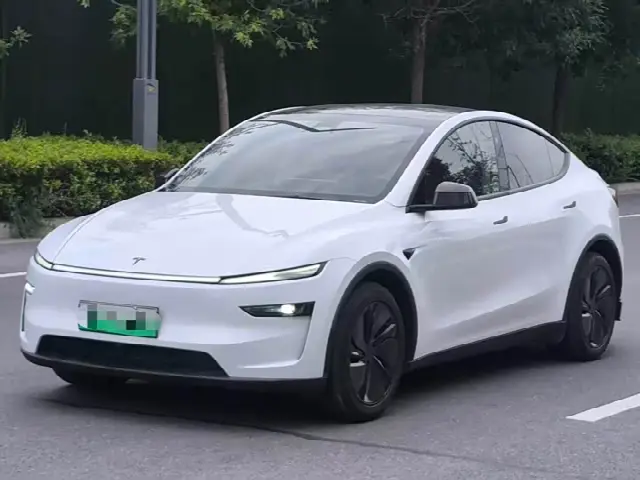 Tesla Model Y 2025, 25 000 км