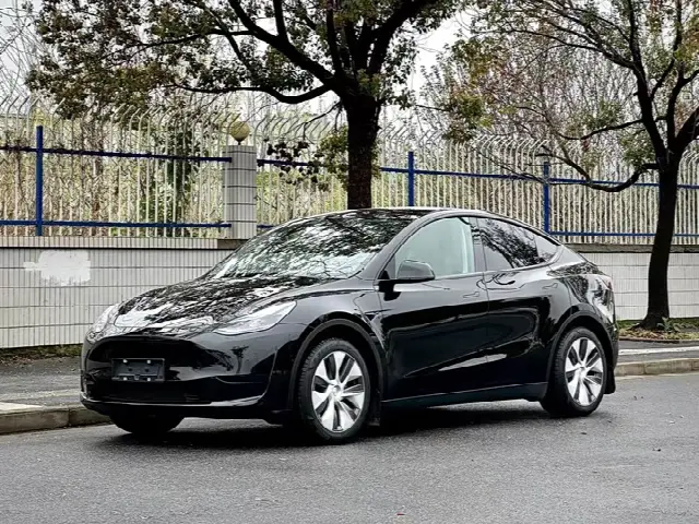 Tesla Model Y 2022, 67 000 км