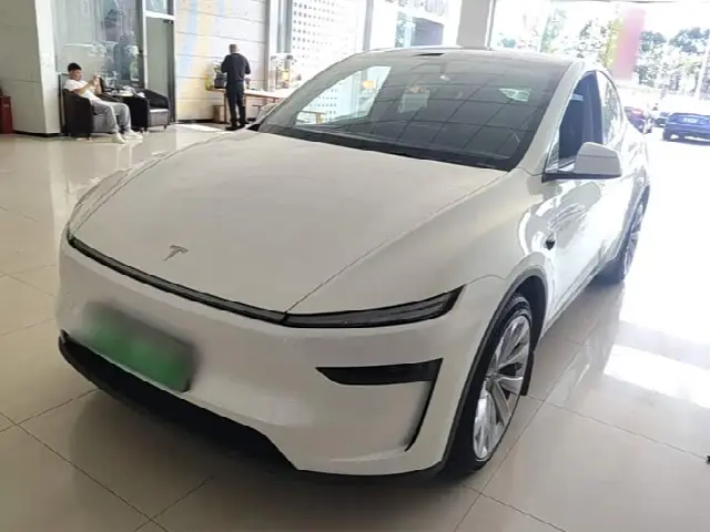 Tesla Model Y 2025, 21 100 км