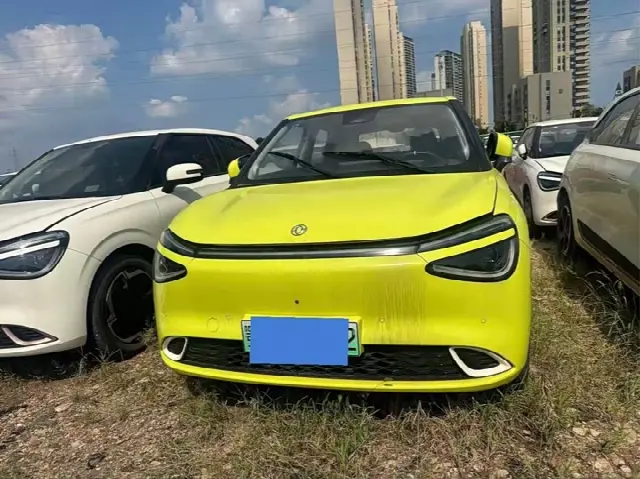 Dongfeng Yipai Nano 01 2024, 9 100 км