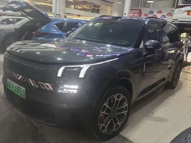Lynk & Co 900 2025, 18 100 км