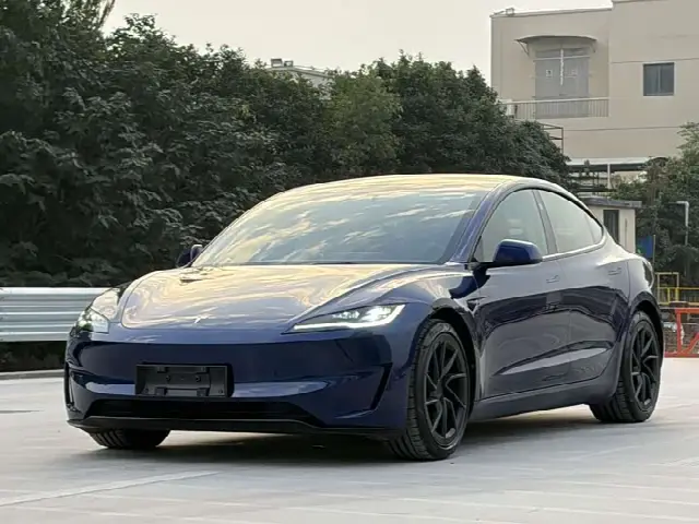 Tesla Model 3 2024, 8 000 км