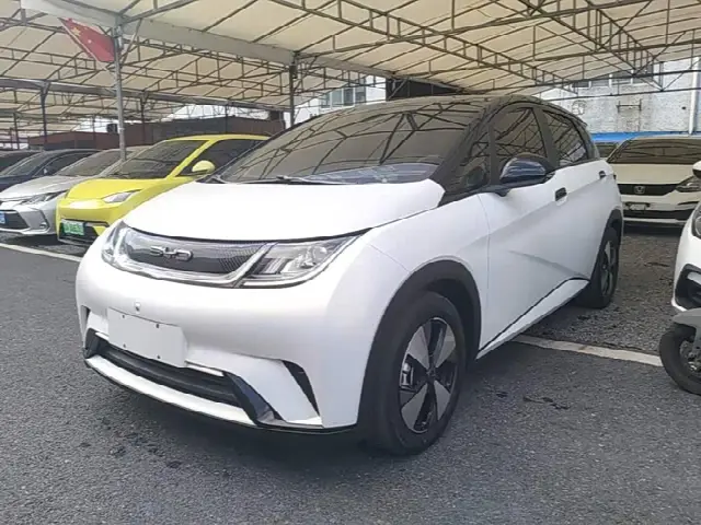 BYD Dolphin 2023, 52 800 км