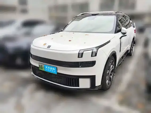 Lynk & Co 900 2025, 33 240 км