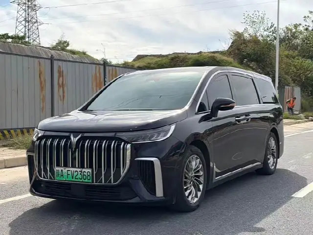 Voyah Dream 2024, 50 000 км