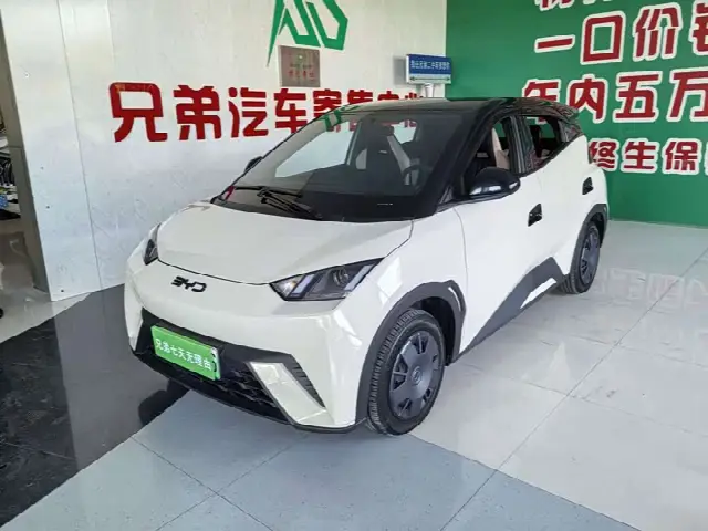 BYD Seagull 2025, 21 000 км