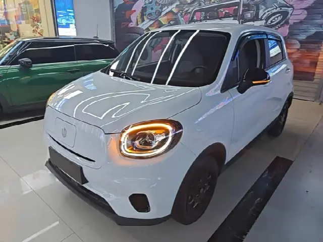 Leapmotor T03 2025, 30 100 км