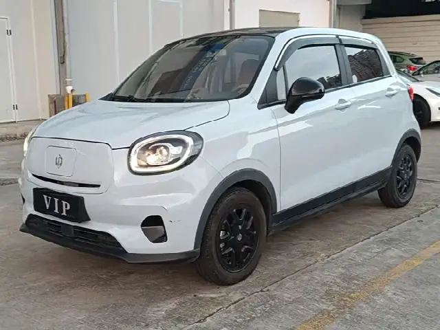 Leapmotor T03 2023, 21 000 км
