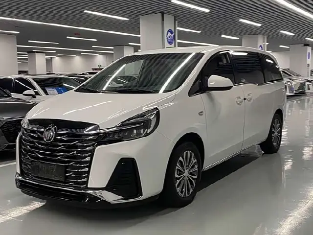 Buick GL8 ES 2023, 58 000 км