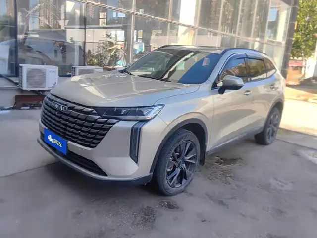 Haval H6 2024, 42 200 км
