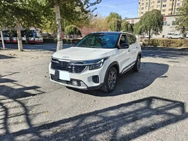Kia Seltos 2023, 41 000 км