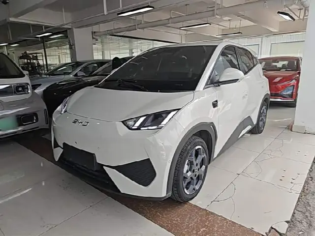 BYD Seagull 2025, 6 200 км