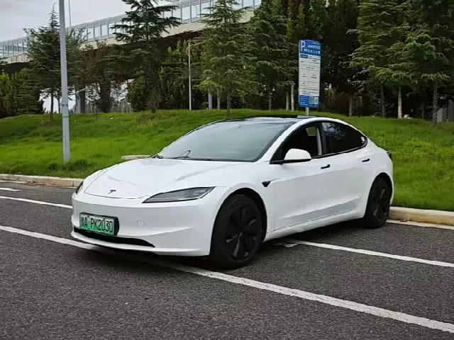 Tesla Model 3 2025, 11 000 км