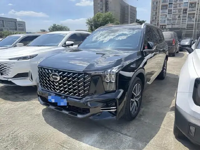 GAC Trumpchi GS8 2024, 20 000 км
