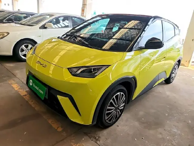 BYD Seagull 2023, 59 000 км