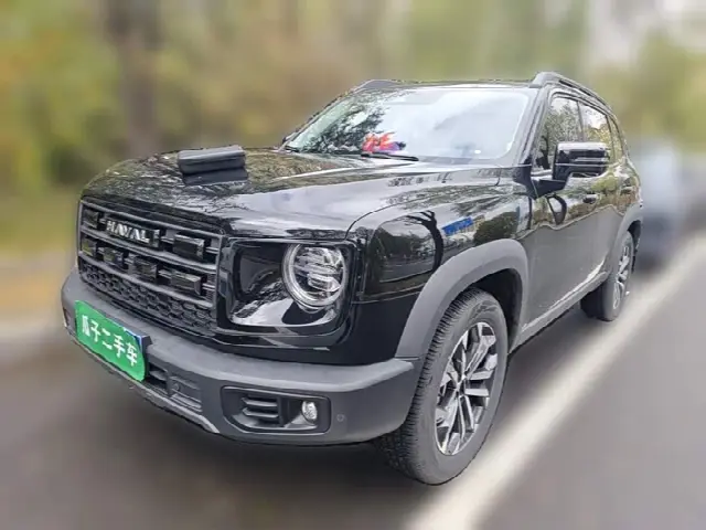 Haval Dargo 2024, 11 300 км