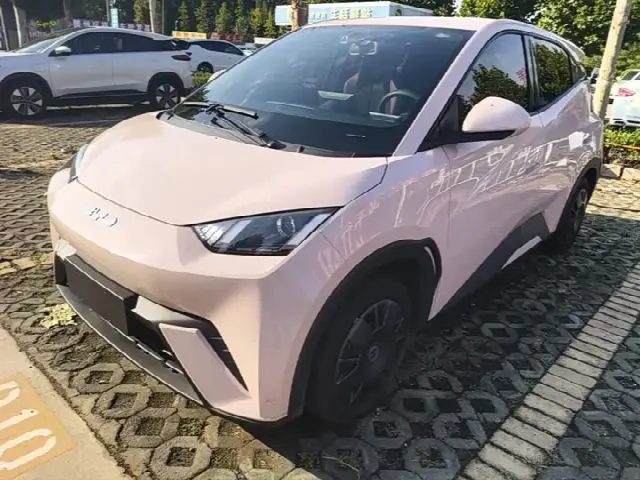 BYD Seagull 2024, 25 500 км