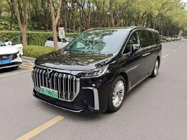 Voyah Dream 2024, 25 000 км