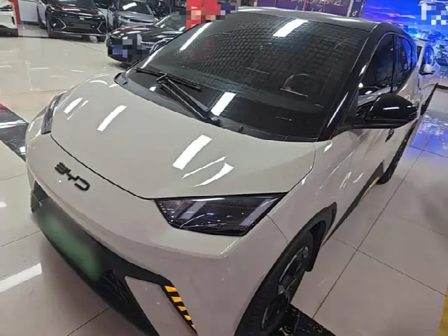 BYD Seagull 2023, 17 700 км