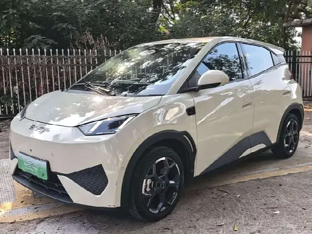 BYD Seagull 2025, 8 000 км