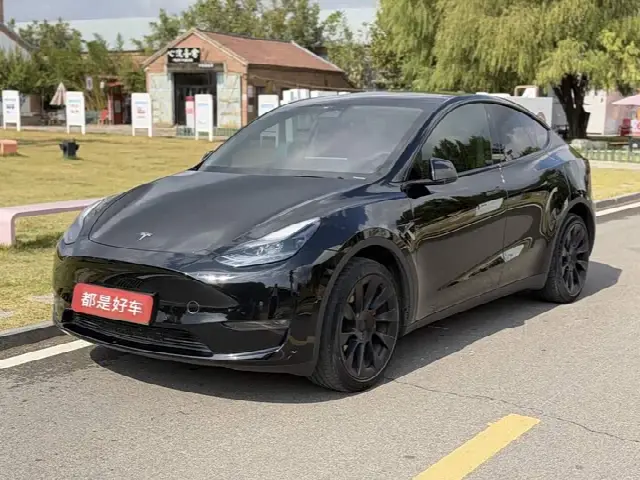 Tesla Model Y 2022, 80 000 км