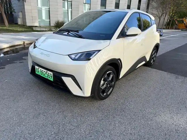 BYD Seagull 2023, 90 000 км