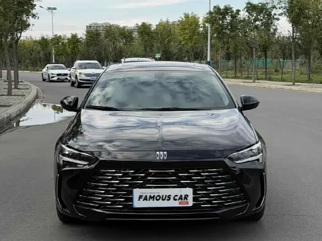 Buick Regal 2023, 29 000 км