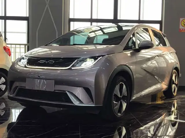BYD Dolphin 2023, 69 000 км
