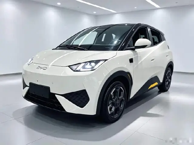 BYD Seagull 2025, 8 300 км