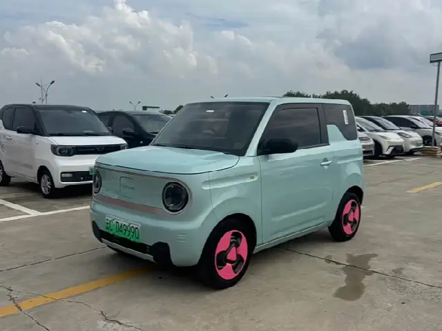 Geely Galaxy Panda Mini 2023, 40 000 км