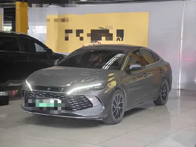 BYD Qin L 2024, 28 600 км