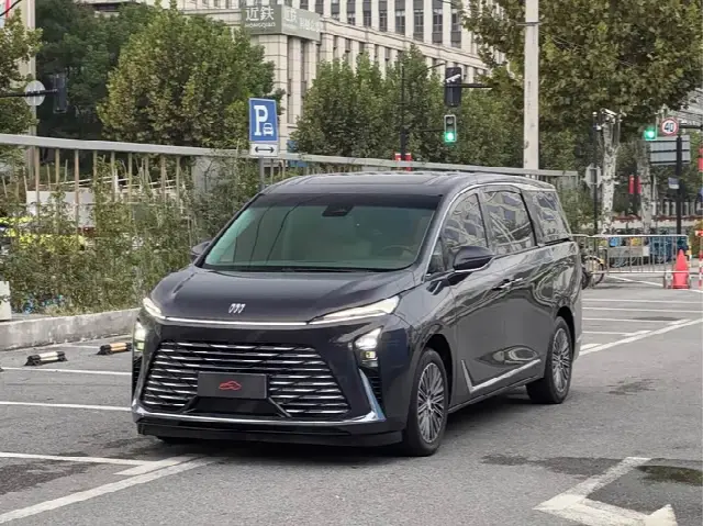 Buick GL8 ES 2025, 53 000 км