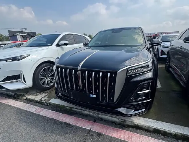 Hongqi HS5 2023, 38 000 км