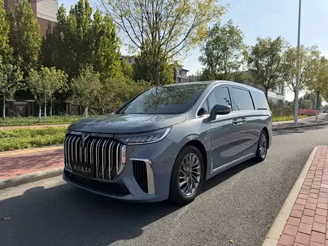 Voyah Dream 2022, 65 000 км