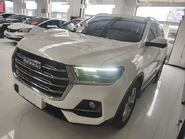 Haval H6 2021, 25 800 км