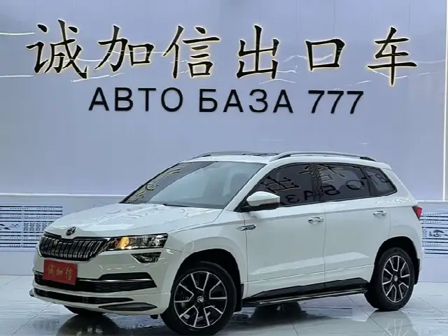 Skoda Karoq 2022, 24 800 км