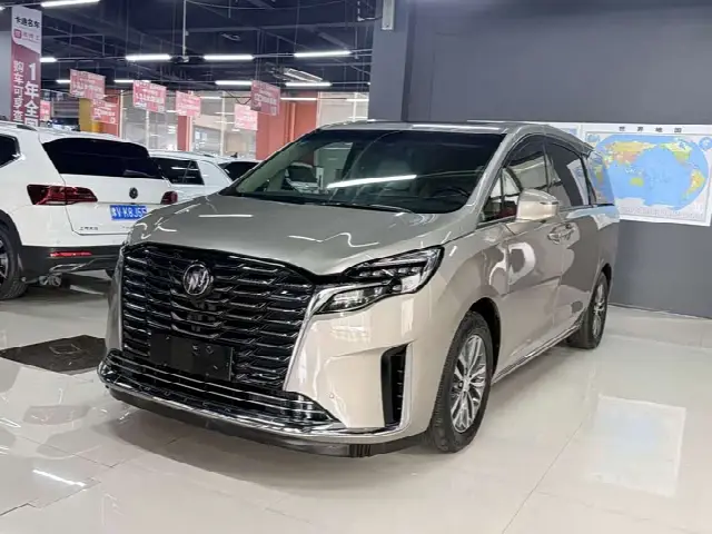Buick GL8 ES 2023, 24 000 км