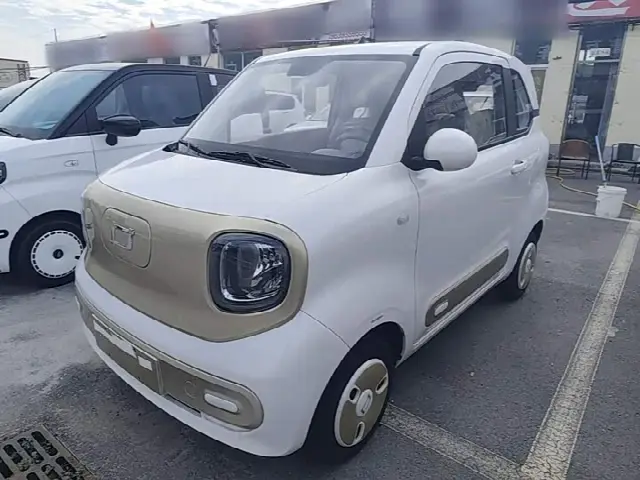 Bestune Pony 2025, 100 км