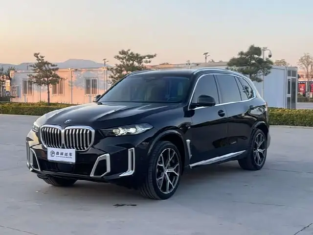 BMW X5 2023, 53 000 км