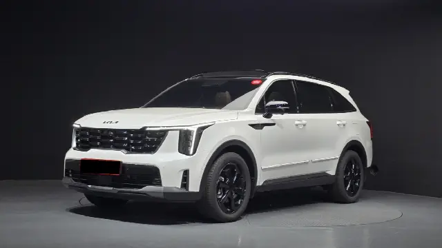 Kia Sorento 2023, 3 180 км