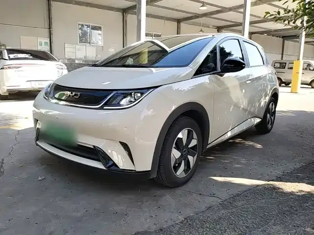 BYD Dolphin 2025, 9 800 км