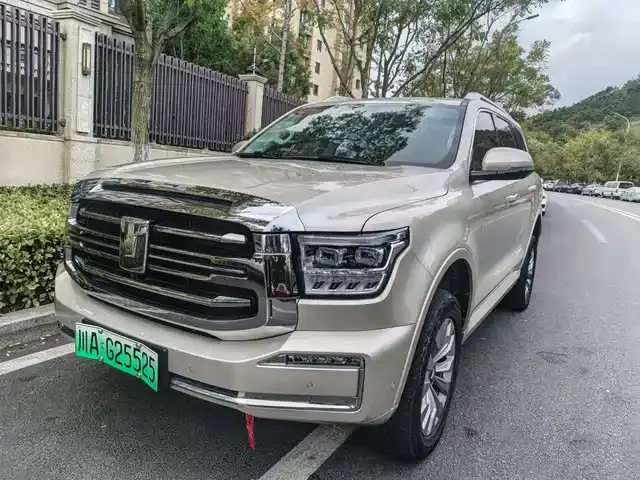 Tank 500 Hybrid 2024, 80 000 км