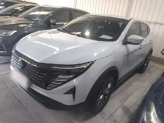 Nissan Qashqai 2025, 8 900 км