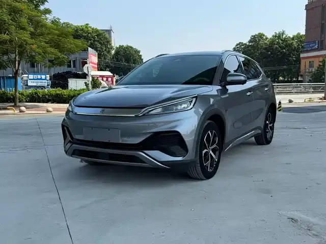 BYD Yuan Plus 2023, 80 000 км