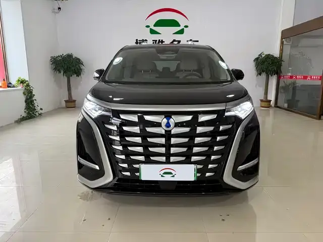 Denza D9 2024, 40 000 км