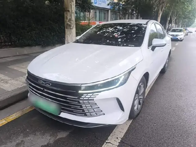 BYD Destroyer 05 2024, 29 600 км
