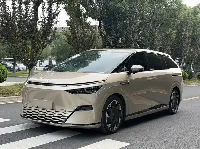 XPeng X9 2024, 60 000 км