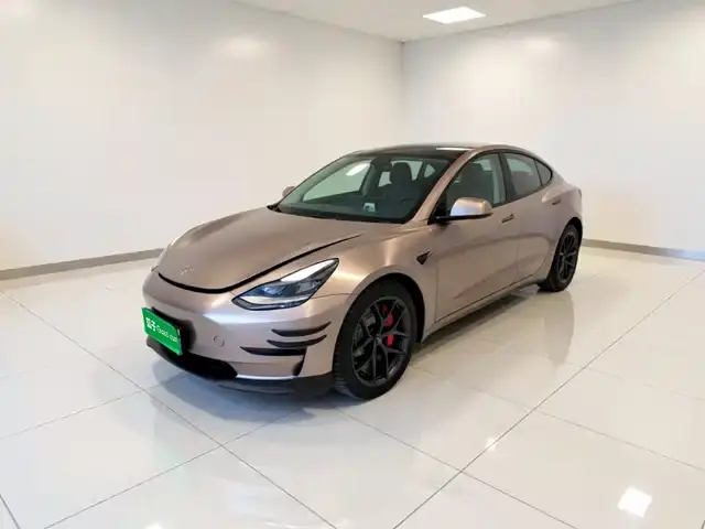 Tesla Model 3 2022, 55 900 км