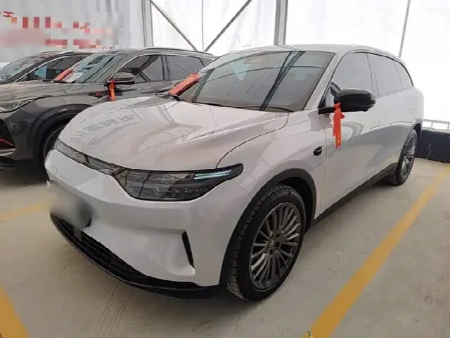Leapmotor C11 2023, 44 100 км