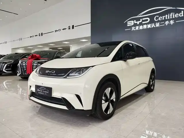 BYD Dolphin 2023, 14 800 км